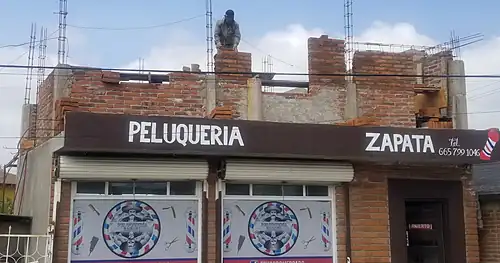 Peluquería zapata