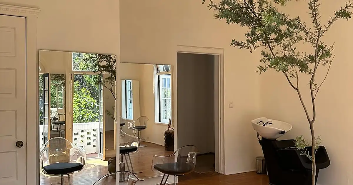 Nova Arts Salon CDMX
