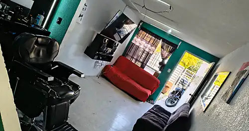 Barbería the king