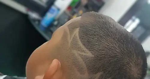 Barber 1993