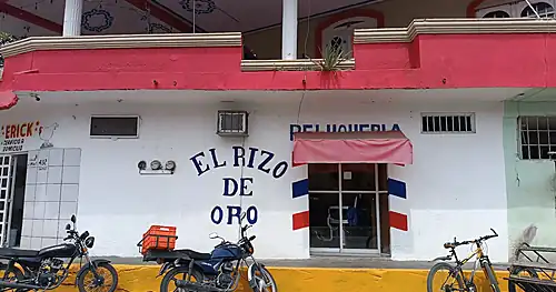 El Rizo de Oro