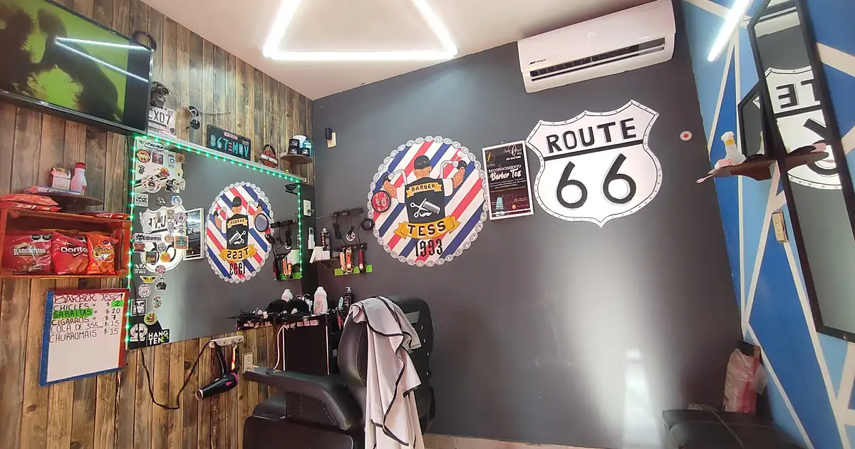 Barber TeSs